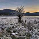 Loch Morlich